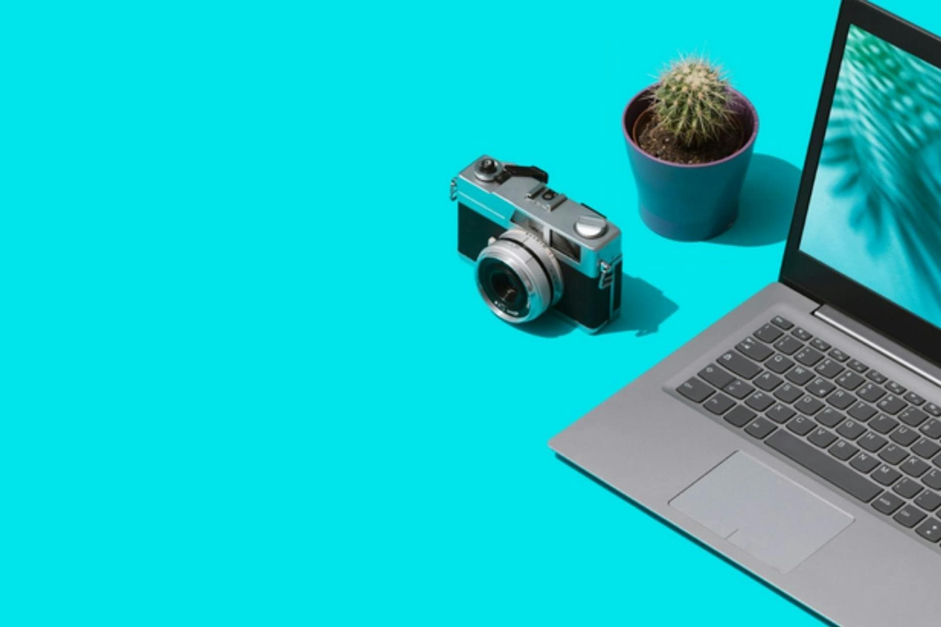 Ordinateur portable, appareil photo et cactus sur fond bleu vif 
