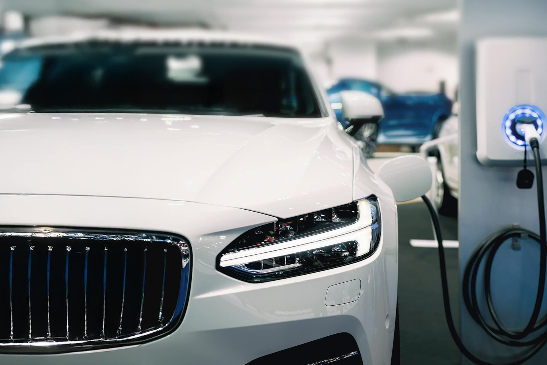 カスタマーインサイト：電気自動車(EV)